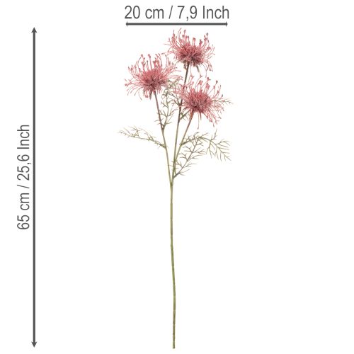 Umelý kvetinový vankúšik na iheličky, protea, kvitnúca vetvička 65 cm, 3 ks | Floristik24.sk