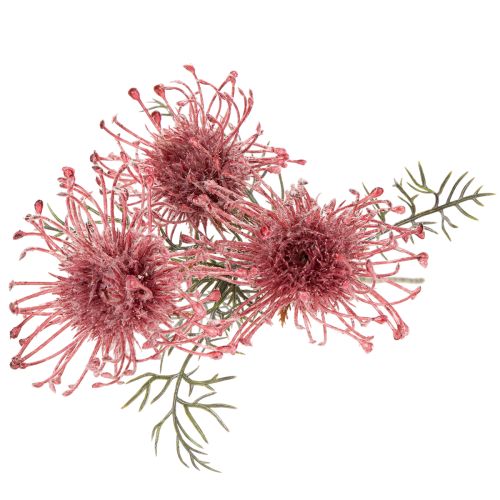 Umelý kvetinový vankúšik na iheličky, protea, kvitnúca vetvička 65 cm, 3 ks | Floristik24.sk