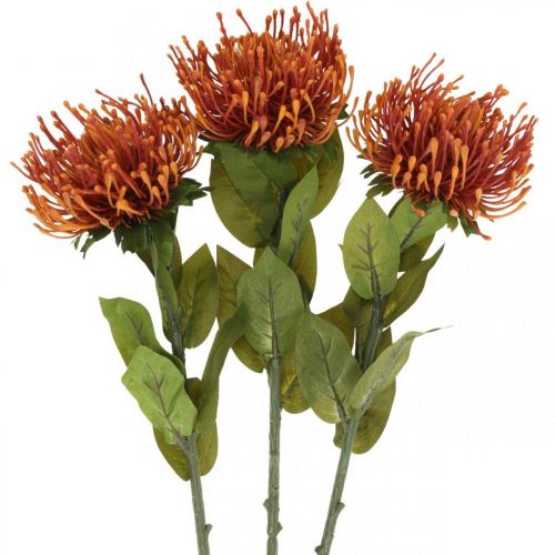 položky Ihelníček Exotický umelý kvet Pomaranč Leucospermum Protea 73cm 3ks