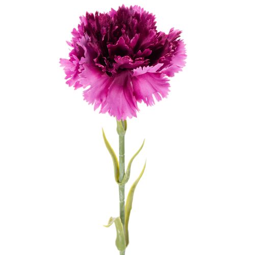 Umelý klinček, dvojfarebný, dlhá stonka 56 cm, kytica 8 kusov kúpiť | Floristik24.sk