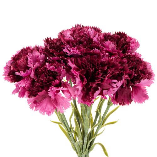 Umelý klinček, dvojfarebný, dlhá stonka 56 cm, kytica 8 kusov | Floristik24.sk