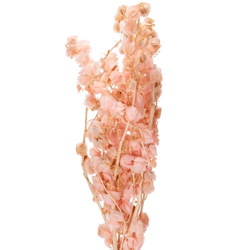 Sušená kvetinová stonka vytvára romantickú atmosféru v každom obytnom priestore (75 cm)