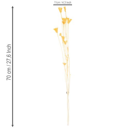 položky Aranžmán zo sušených kvetov Nigella na dlhodobé použitie. Elegantný pútavý vzhľad. 70 cm 50 g