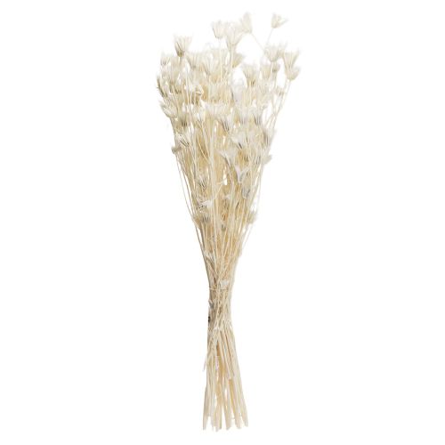 položky Sušené kvety Nigella Orientalis, čierna rasca, biela 50 cm 100 g