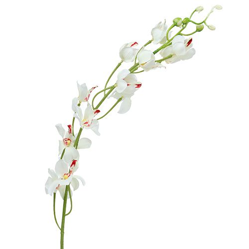 Floristik24 Orchidea Mokara biela 92cm 3ks