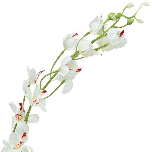 položky Orchidea Mokara biela 92cm 3ks