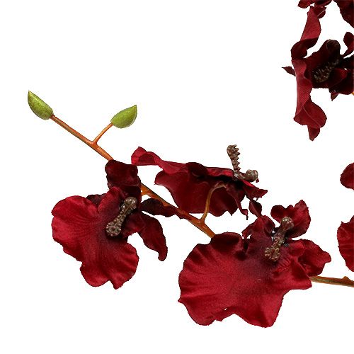 položky Orchidea Oncidium 70cm tmavočervená 3ks