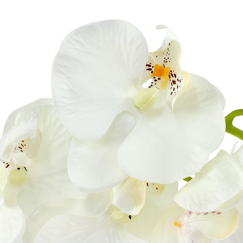 položky Orchidea biela umelá L73cm 4ks