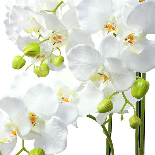 položky Orchidea biela so zemeguľou 110cm