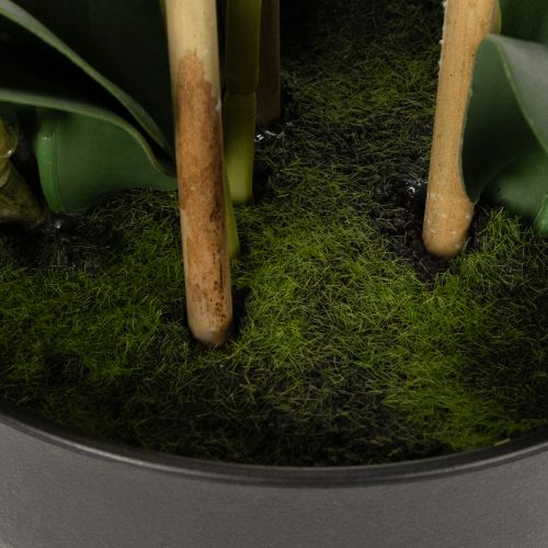 položky Umelá orchidea v kvetináči pre harmonickú atmosféru, biela, 60 cm