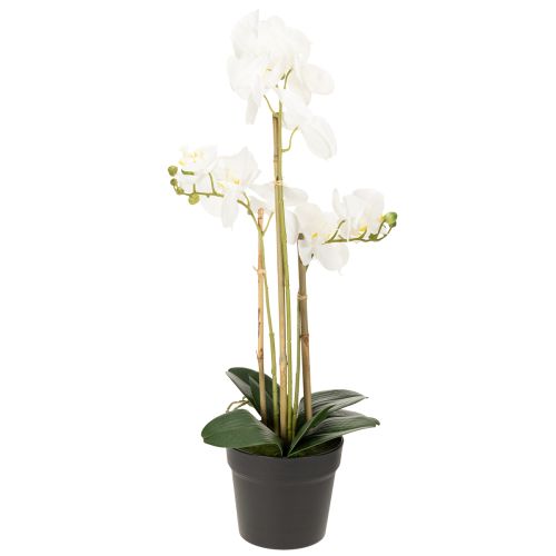 položky Umelá orchidea v kvetináči pre harmonickú atmosféru, biela, 60 cm