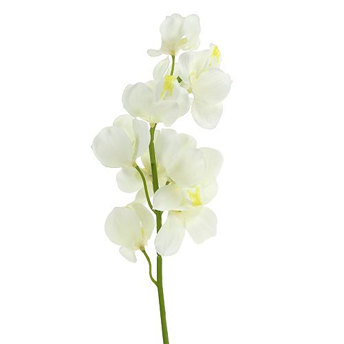 Floristik24 Orchidea umelý krém 50cm 6ks