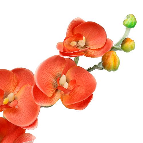 položky Orchidea dve vetvy 60 cm oranžová