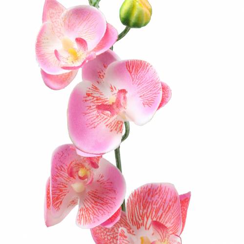 položky Orchidea Phalaenopsis umelá ružová 60cm