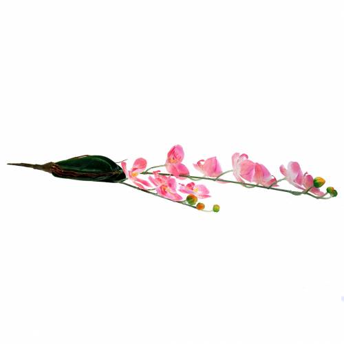 Floristik24 Orchidea Phalaenopsis umelá ružová 60cm
