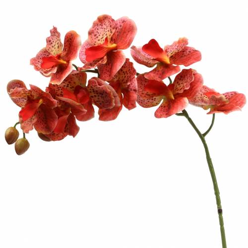 Floristik24 Umelá orchidea Phaelaenopsis červená, oranžová H81cm