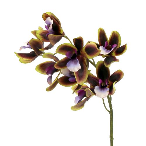 Floristik24 Orchidea Cymbidium zelená, fialová L38cm 4ks