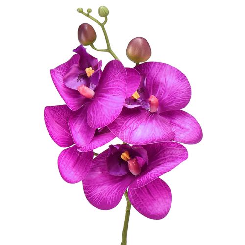 Orchidea Umelá Phalaenopsis 4 kvety Fuchsia 72cm