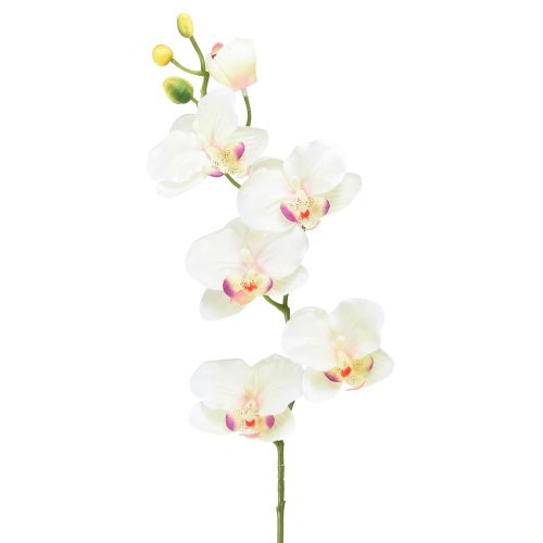 Orchidea Phalaenopsis umelé 6 kvetov krémovo ružové 70cm