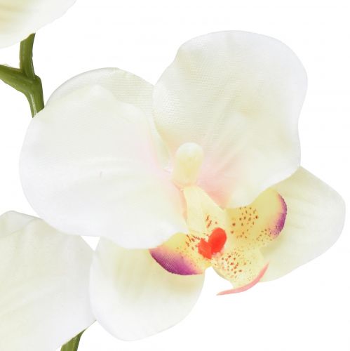 položky Orchidea Phalaenopsis umelé 6 kvetov krémovo ružové 70cm