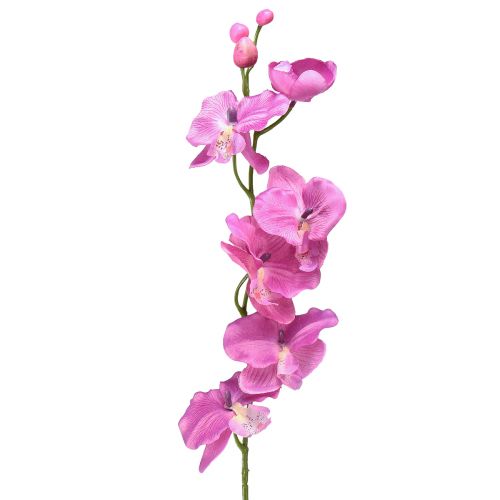 Floristik24 Orchidea Phalaenopsis umelá 6 kvetov fialová 70cm