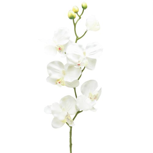 Orchidea Phalaenopsis umelé 6 kvetov biela krémová 70cm