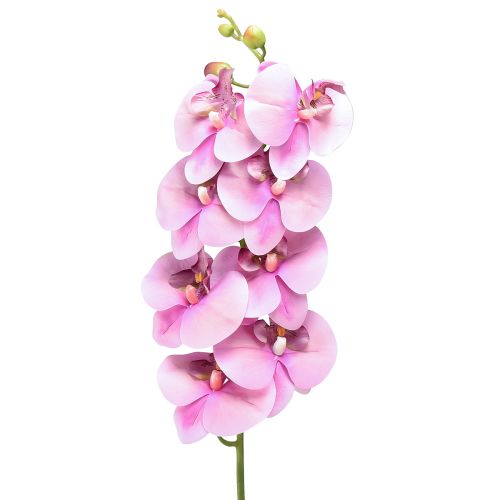 Floristik24 Orchidea Phalaenopsis umelé 8 kvetov ružové 104cm