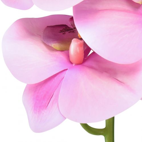 položky Orchidea Phalaenopsis umelé 8 kvetov ružové 104cm