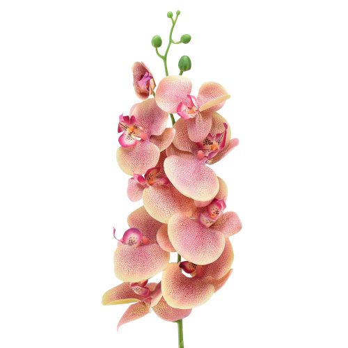 položky Orchidea Phalaenopsis umelé 9 kvetov ružová vanilka 96cm