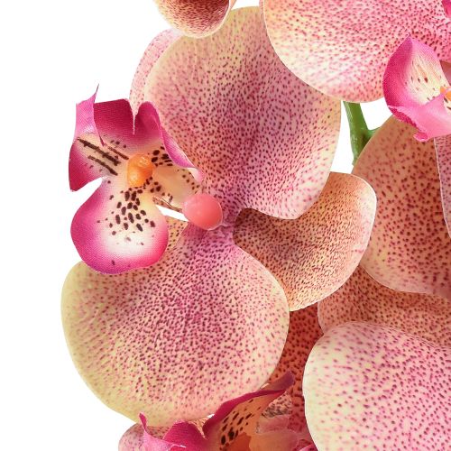 položky Orchidea Phalaenopsis umelé 9 kvetov ružová vanilka 96cm