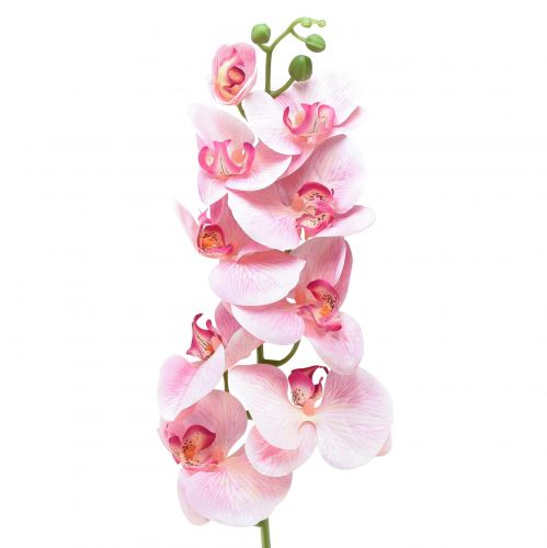 položky Orchidea Phalaenopsis umelé 9 kvetov ružová biela 96cm