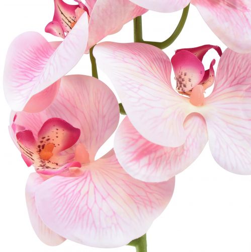 položky Orchidea Phalaenopsis umelé 9 kvetov ružová biela 96cm