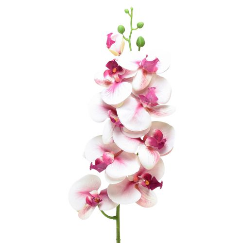Floristik24 Orchidea Phalaenopsis umelé 9 kvetov biela fuchsiová 96cm