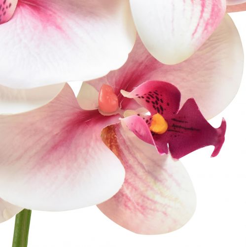 položky Orchidea Phalaenopsis umelé 9 kvetov biela fuchsiová 96cm
