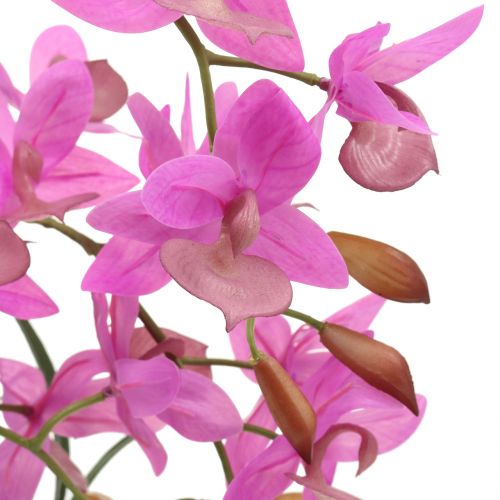 položky Orchidea v kvetináči fialová V55cm