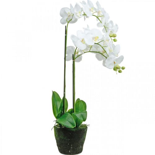 položky Umelé orchidey do kvetináča biele 80cm