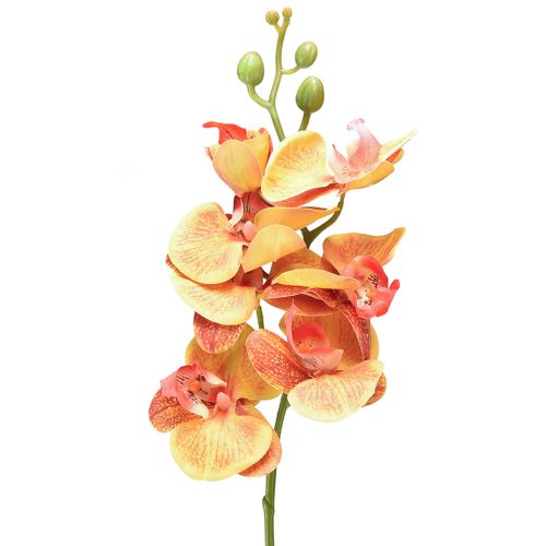 Floristik24 Umelá orchidea Phalaenopsis flambovaná červeno žltá 78cm