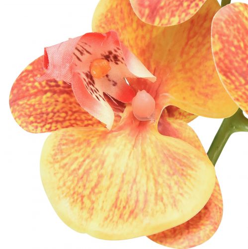 položky Umelá orchidea Phalaenopsis flambovaná červeno žltá 78cm