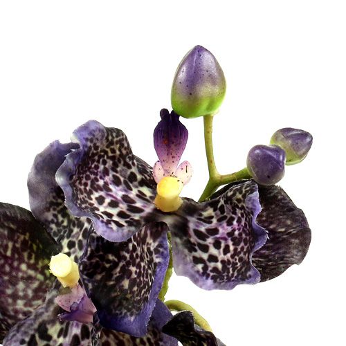 položky Orchidea Vanda umelá fialka L 44cm