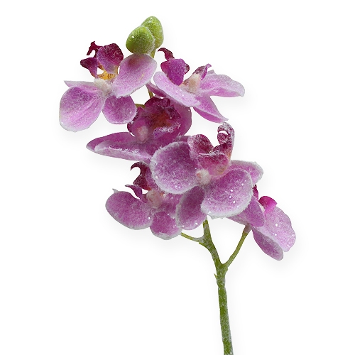 Floristik24 Orchidea s trblietkami, ružová 35cm