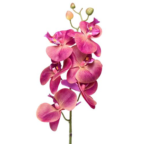 Umelá orchidea Phalaenopsis Orchid Fuchsia 78cm