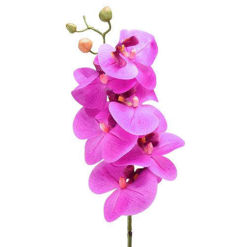 položky Umelá orchidea Phalaenopsis Orchid Pink 78cm