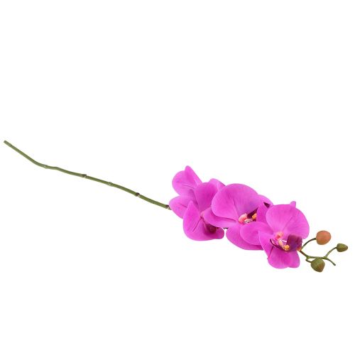 položky Umelá orchidea Phalaenopsis Orchid Pink 78cm