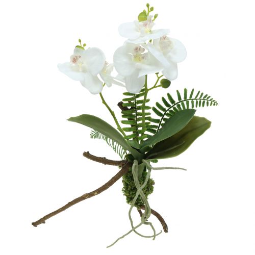 Floristik24 Orchidea biela s machovými guľôčkami a korienkami 36cm