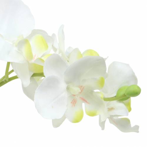 položky Orchidea biela v kvetináči umelá rastlina H35cm