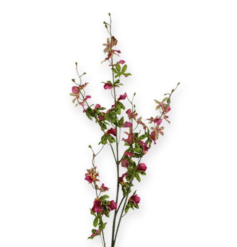 Floristik24 Vetva orchidey zelená/ružová 105cm
