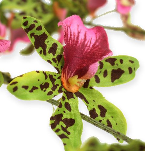 položky Vetva orchidey zelená/ružová 105cm