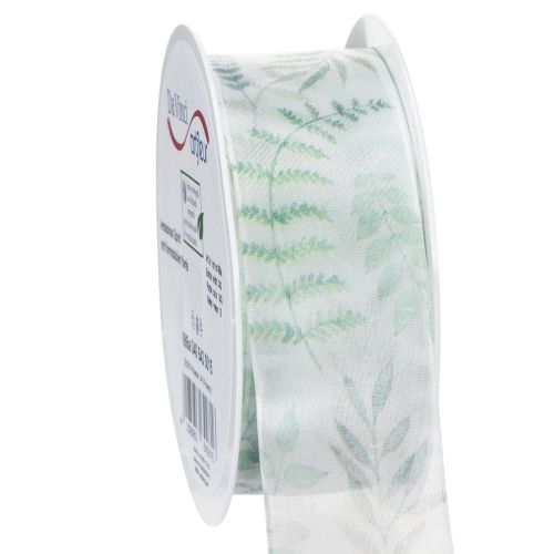 Floristik24 Organzová stuha, šifónová stuha, listnaté konáre, zelená, 40 mm, 15 m