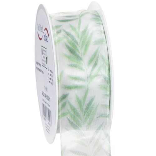 Floristik24 Organzová stuha, šifónová stuha, zelená rastlinná stuha, 40 mm x 15 m
