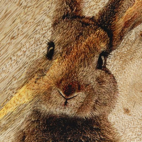 položky Veľkonočný tanier Drevený dekoratívny tanier Králik vo vajci Natural 25x26cm